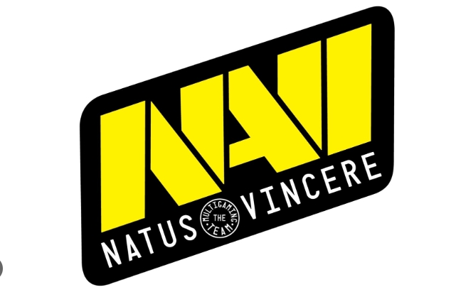 Natus Vincere (NaVi)